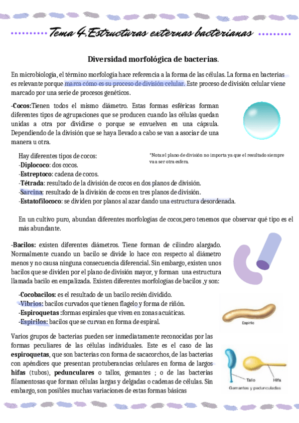 Miniatura del documento Temas-4-y-5-Estructuras-externas-bacterianas-formato-comprimido.pdf