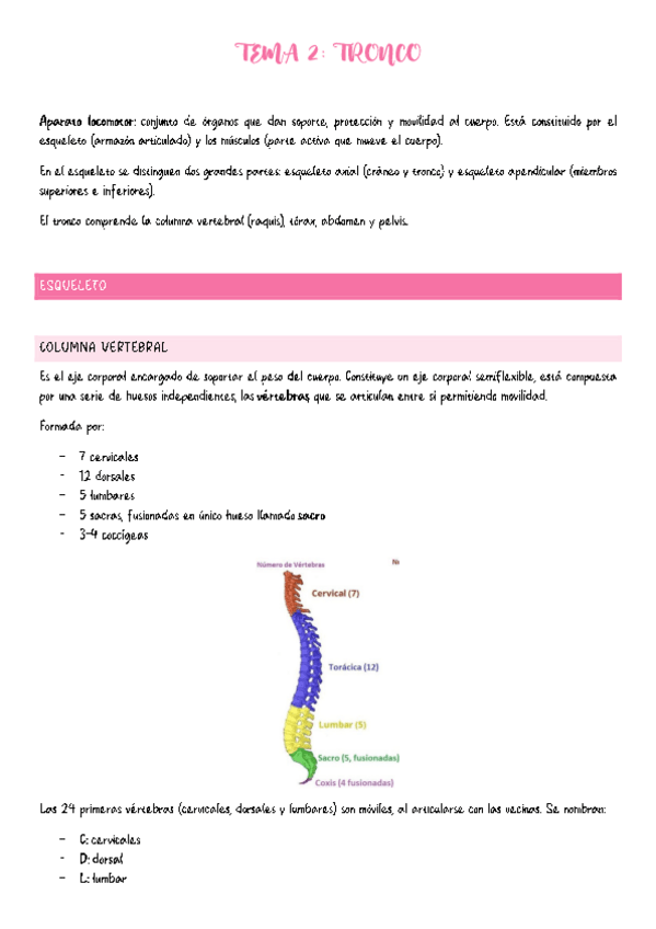 Miniatura del documento Tema-2-Anatomia.pdf