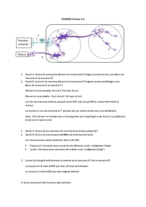 Miniatura del documento EXAMEN-Unitats-1-i-2-Parcial-1.pdf