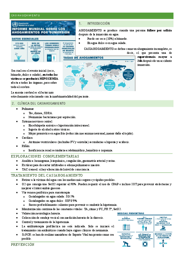 Miniatura del documento MQ-IV-6-Casiahogamiento.pdf