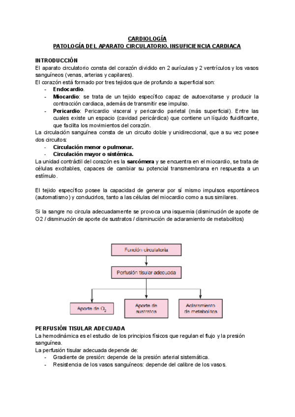 Miniatura del documento Cardiologia.pdf