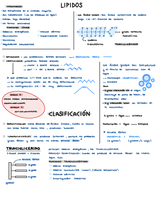 Miniatura del documento LIPIDOS.pdf