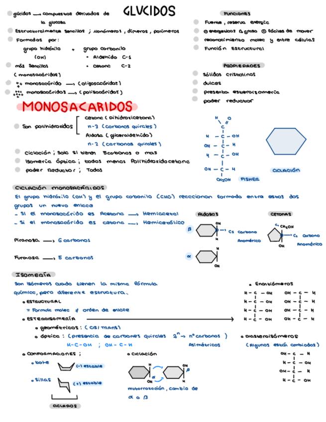 Miniatura del documento GLUCIDOS.pdf