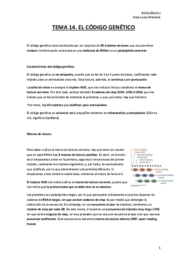 Miniatura del documento TEMA-14.-El-codigo-genetico.pdf