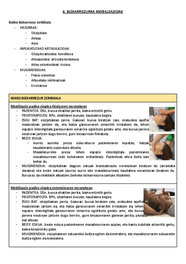 Miniatura del documento 6.-Bizkarrezurra-mobilizazioak.pdf
