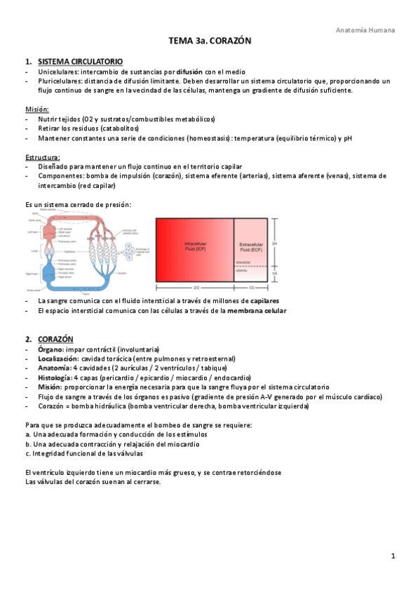 Miniatura del documento TEMA-3a.-Sistema-circulatorio.pdf