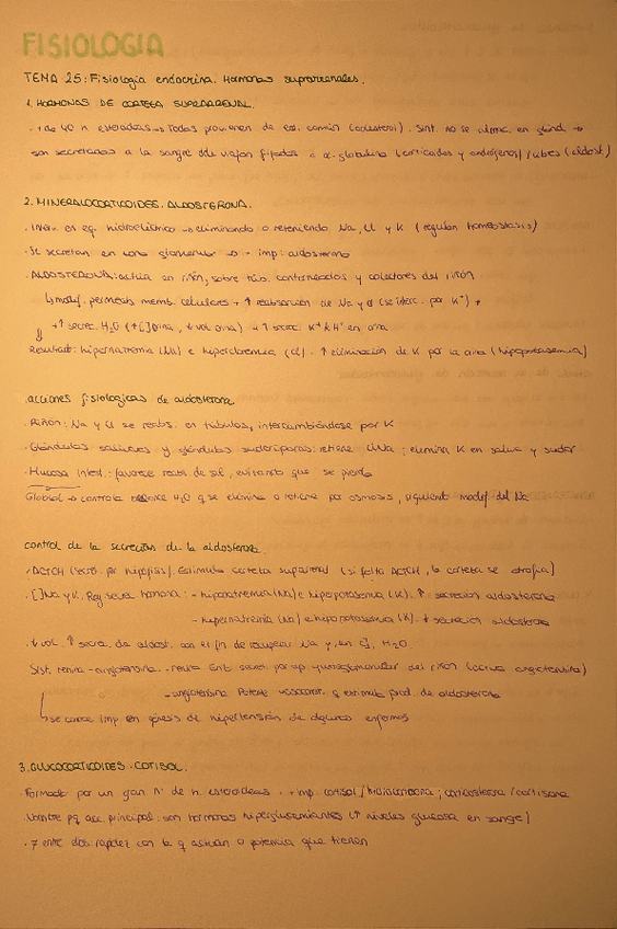 Miniatura del documento TEMA-25-FISIOLOGIA (RESUMEN).pdf