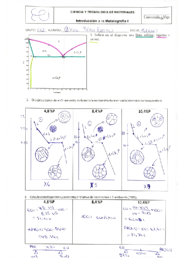 Miniatura del documento informe-metalografia1.pdf