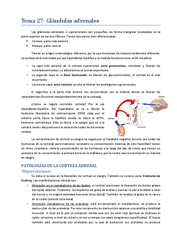 Miniatura del documento Tema 27.pdf