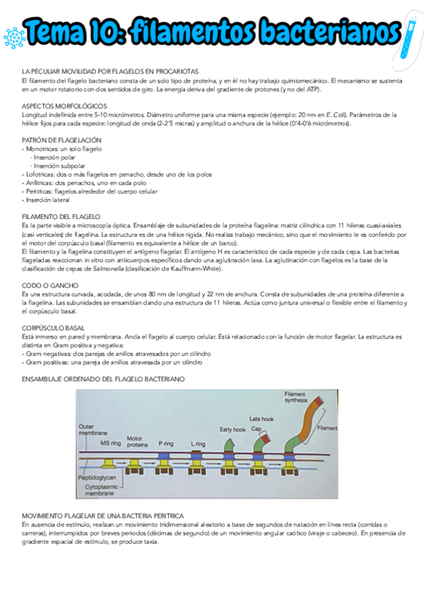 Miniatura del documento TEMA-10.pdf