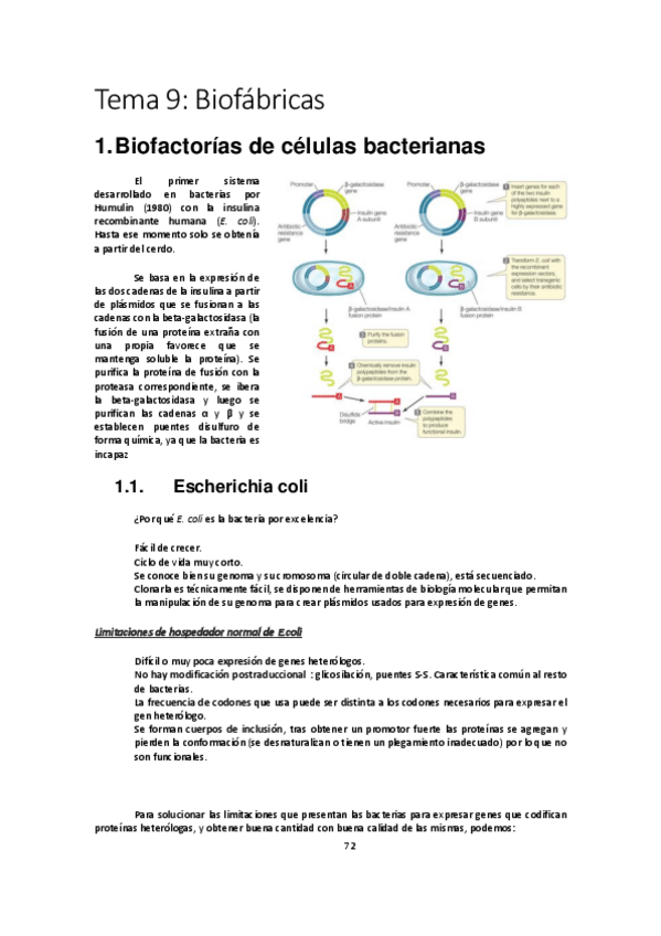 Miniatura del documento Tema-9-Avances-en-Bioquimica-y-Biologia-Molecular-23-24-9.pdf