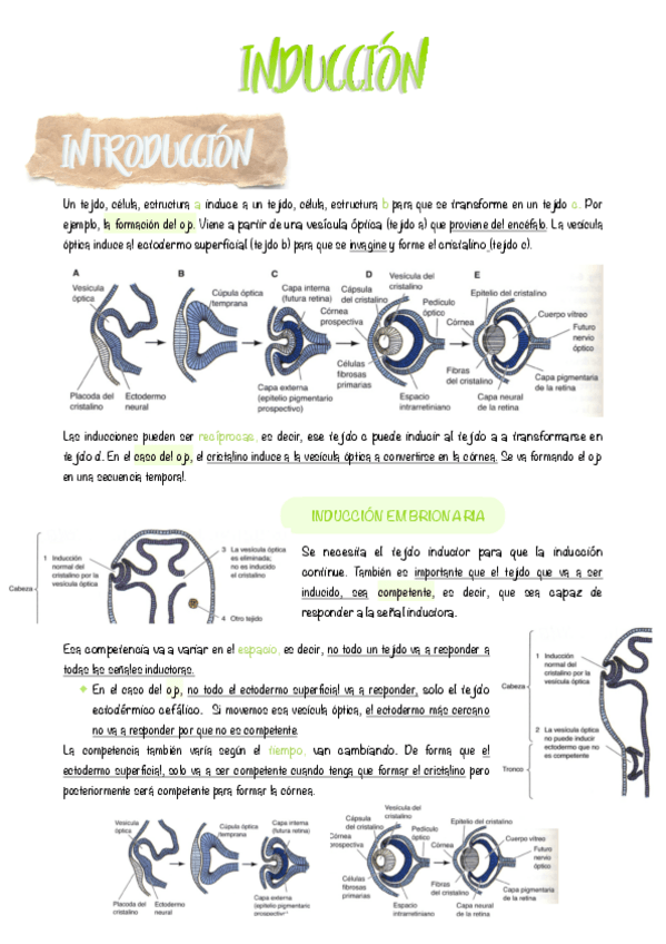 Miniatura del documento 5.-Induccion.pdf