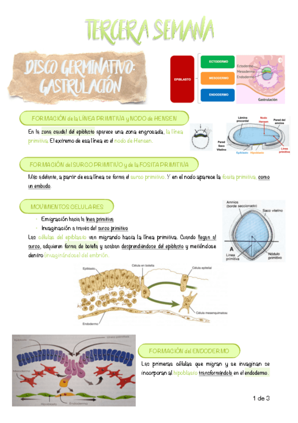 Miniatura del documento 10.-Tercera-semana.pdf