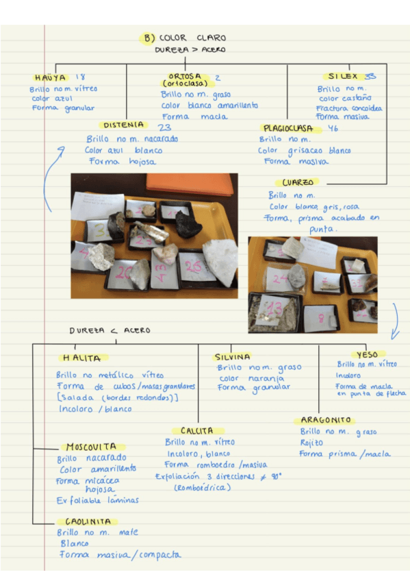 Miniatura del documento Examen-rocas-geo.pdf