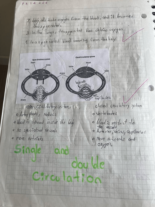 Miniatura del documento Imagen-de-WhatsApp-2023-11-20-a-las-13.32.59b24e32cd.jpg