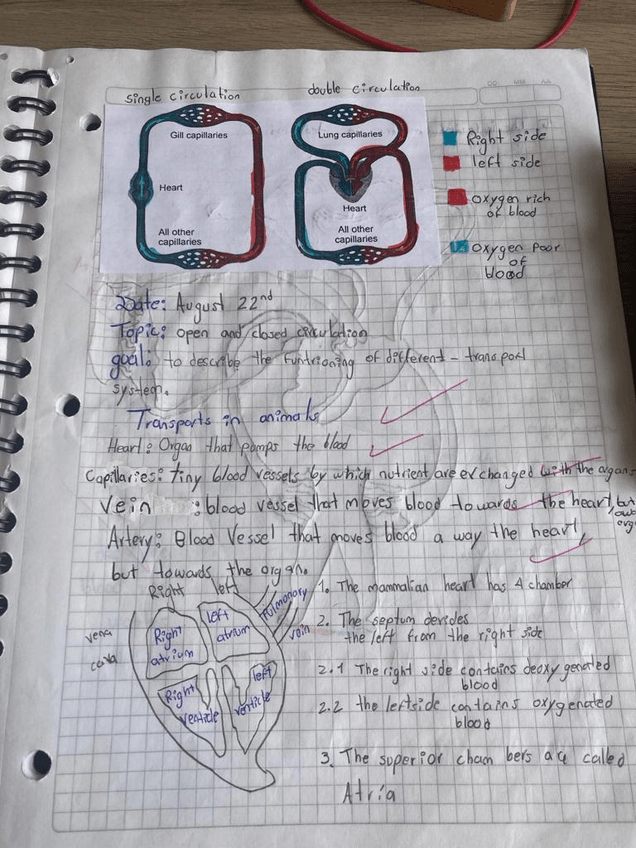 Miniatura del documento Imagen-de-WhatsApp-2023-11-20-a-las-13.32.59620f76b7.jpg