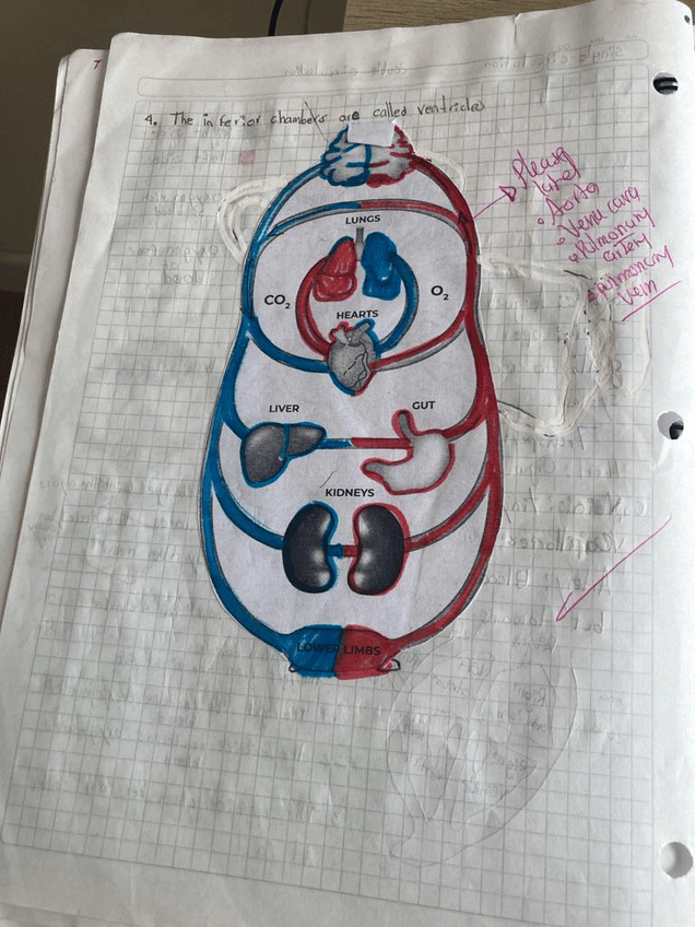 Miniatura del documento Imagen-de-WhatsApp-2023-11-20-a-las-13.32.5912a9a557.jpg