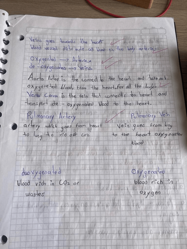 Miniatura del documento Imagen-de-WhatsApp-2023-11-20-a-las-13.32.59801ddc3a.jpg