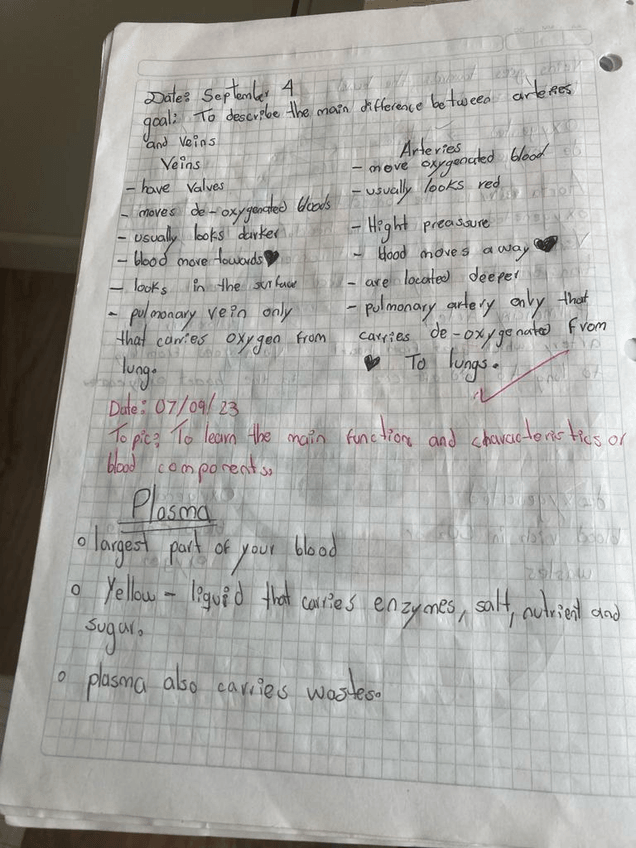 Miniatura del documento Imagen-de-WhatsApp-2023-11-20-a-las-13.32.59f0c48519.jpg