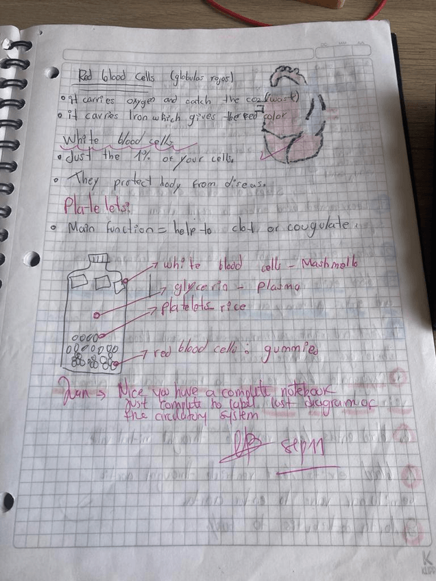 Miniatura del documento Imagen-de-WhatsApp-2023-11-20-a-las-13.32.597e2bf006.jpg