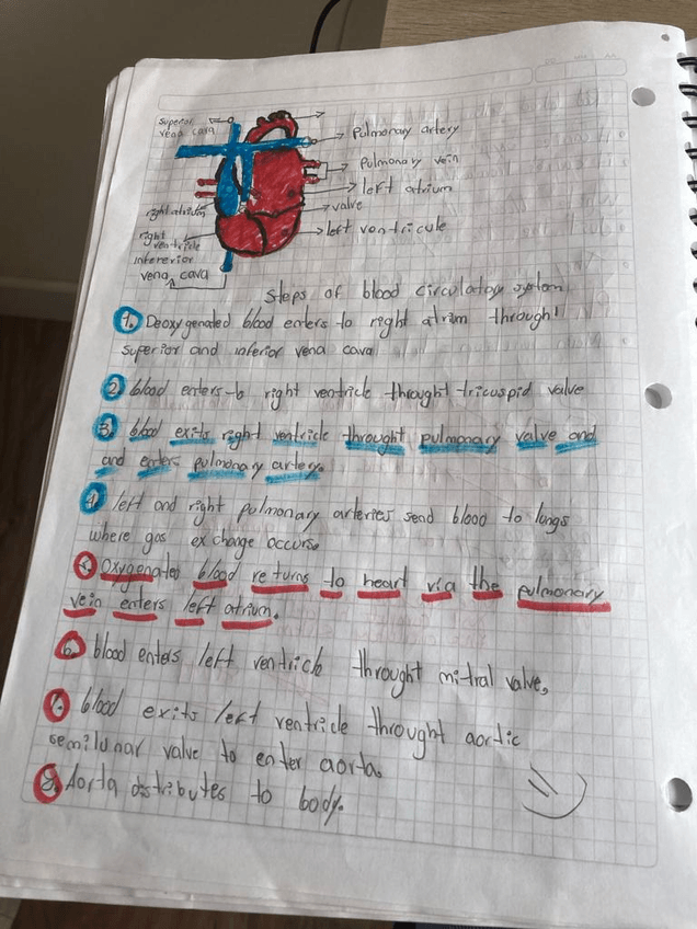 Miniatura del documento Imagen-de-WhatsApp-2023-11-20-a-las-13.32.59fc0aac5a.jpg