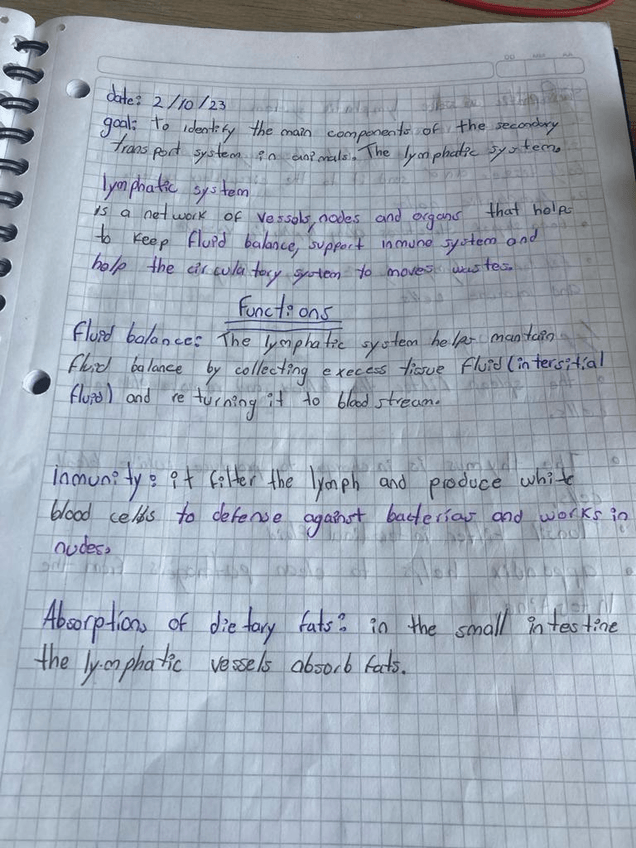 Miniatura del documento lymphatic-system.jpg