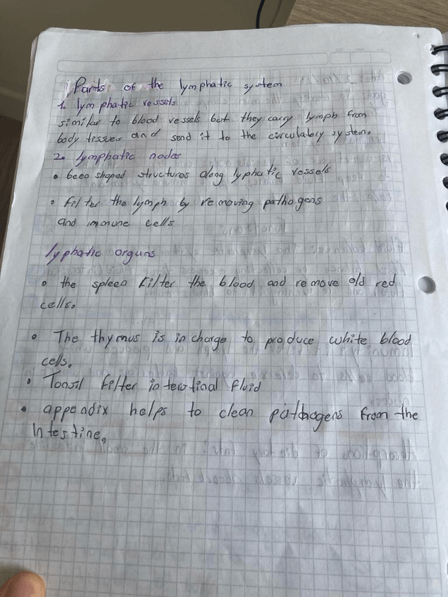 Miniatura del documento lymphatic-system.jpg