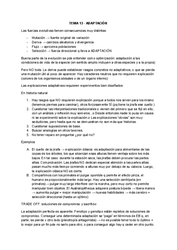 Miniatura del documento TEMA-13-ADAPTACION.pdf