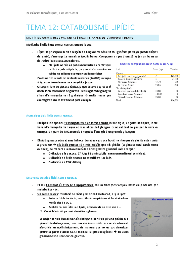 Miniatura del documento Tema-12.-Catabolisme-lipidic.pdf