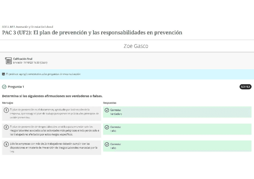Miniatura del documento PAC-3-UF2-El-plan-de-prevencion-y-las-responsabilidades-en-prevencion.pdf