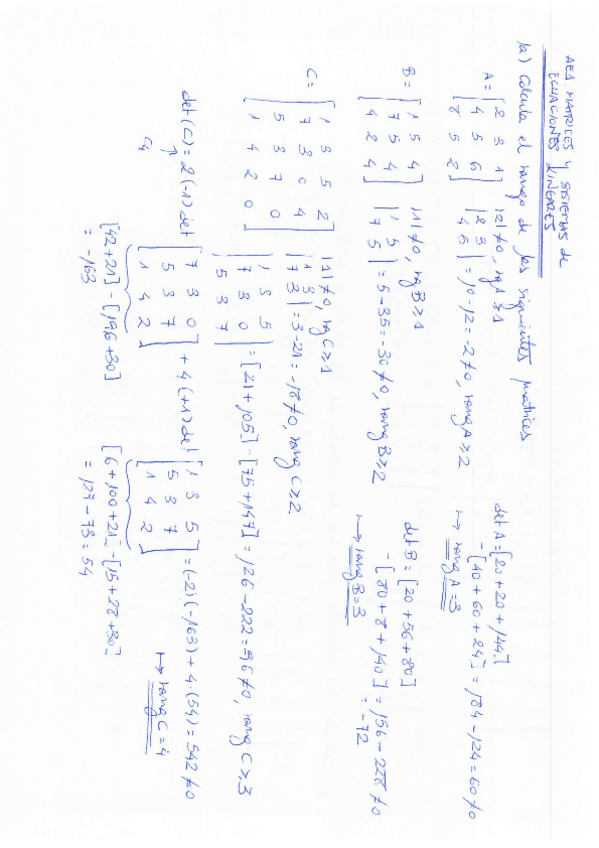 Miniatura del documento AE1.-Correccion.pdf
