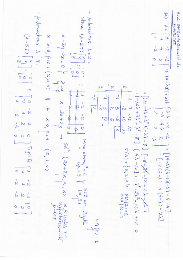Miniatura del documento AE2.-Correccion.pdf