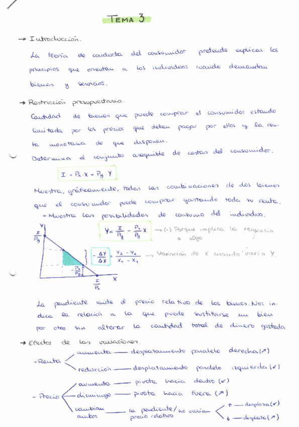 Miniatura del documento T3.-Resumenes-a-mano.pdf