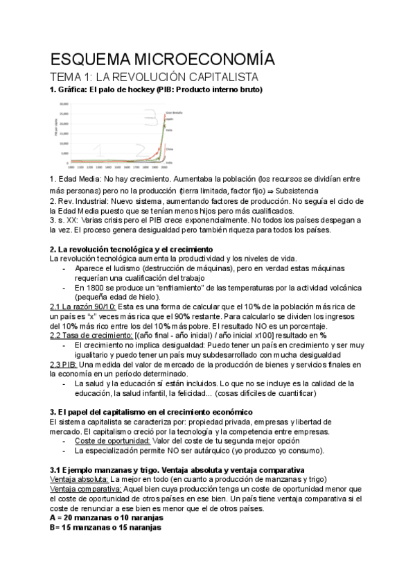Miniatura del documento ESQUEMA-MICROECONOMIA-apuntes-examen.pdf