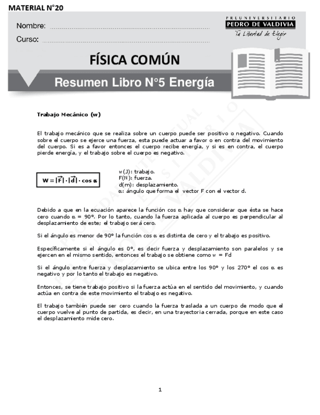 Miniatura del documento 6096-FC-20-Resumen-LIBRO-N5-Energia-SA-7.pdf