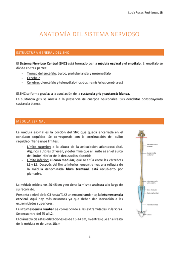 Miniatura del documento Anatomía del sistema nervioso, parte 1.pdf