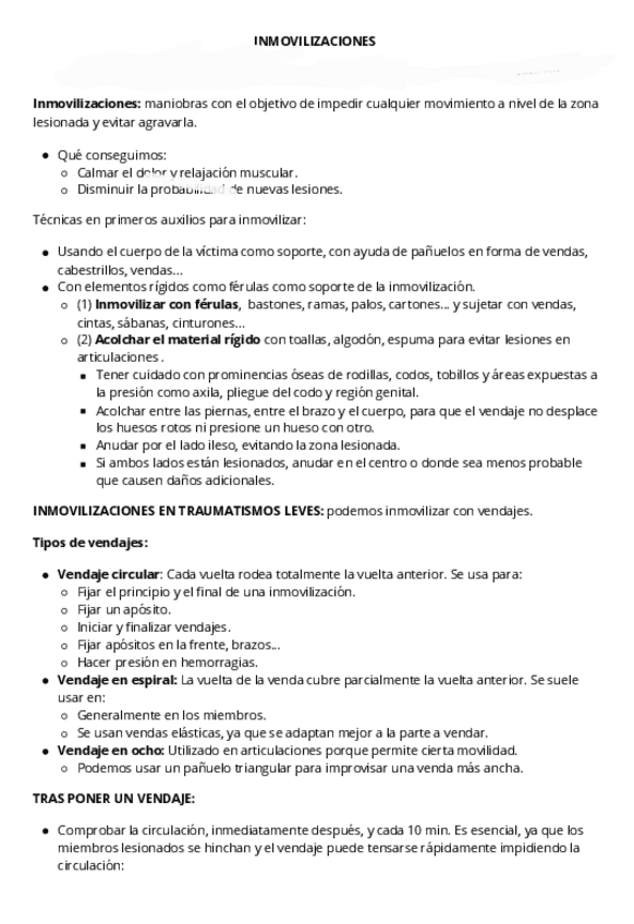 Miniatura del documento INMOVILIZACIONES.pdf