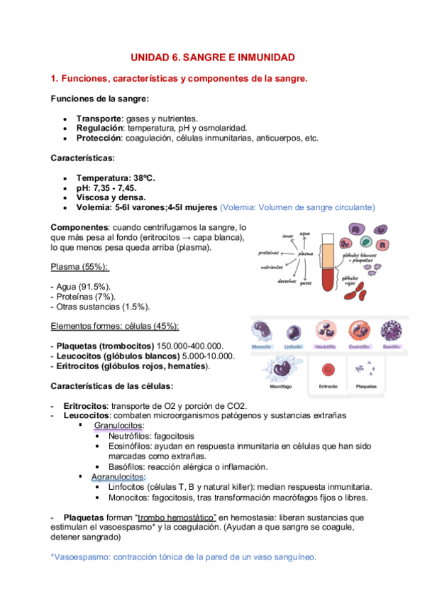 Miniatura del documento Unidad-6-Sangre-e-Inmunidad.pdf