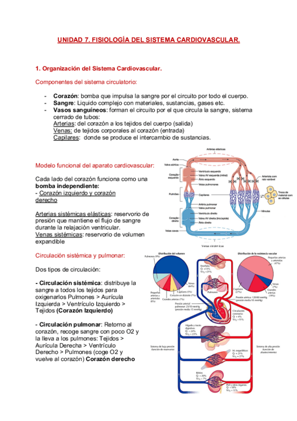 Miniatura del documento Unidad-7-Sistema-Cardiovascular.pdf