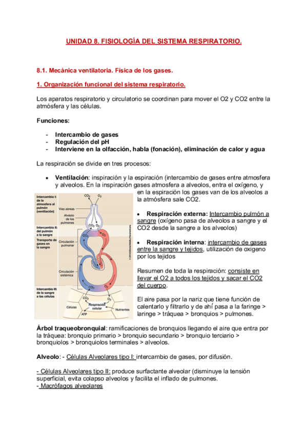 Miniatura del documento Unidad-8-Sistema-Respiratorio.pdf