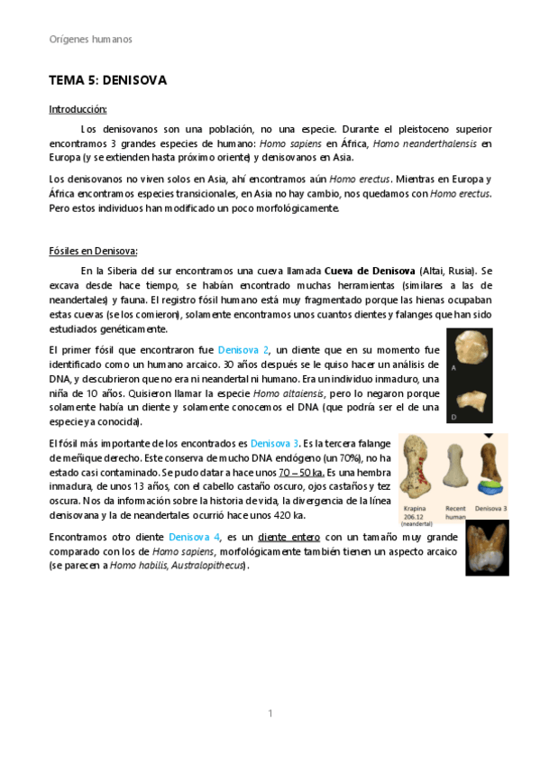 Miniatura del documento OH-Tema-5-Denisova.pdf