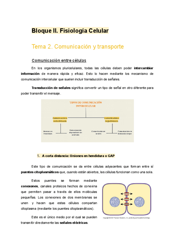 Miniatura del documento Tema-2.-Comunicacion-y-Transporte.pdf