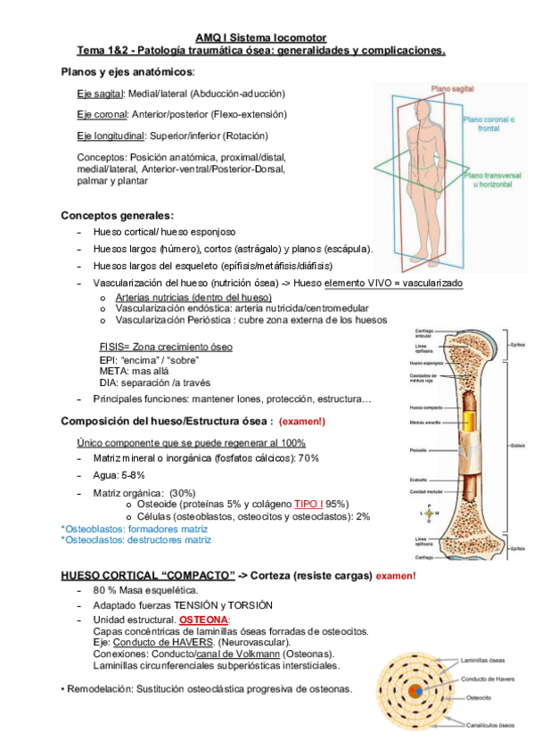 Miniatura del documento Resumen-Temas-1-y-2-AMQ-I.pdf