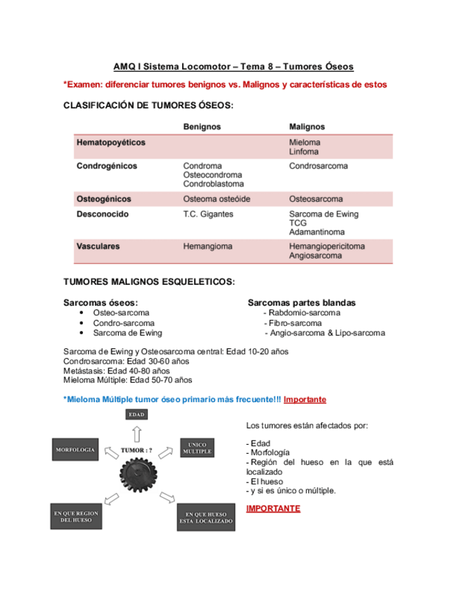 Miniatura del documento Resumen-Tema-8-Tumores-Oseos-AMQ-I.pdf
