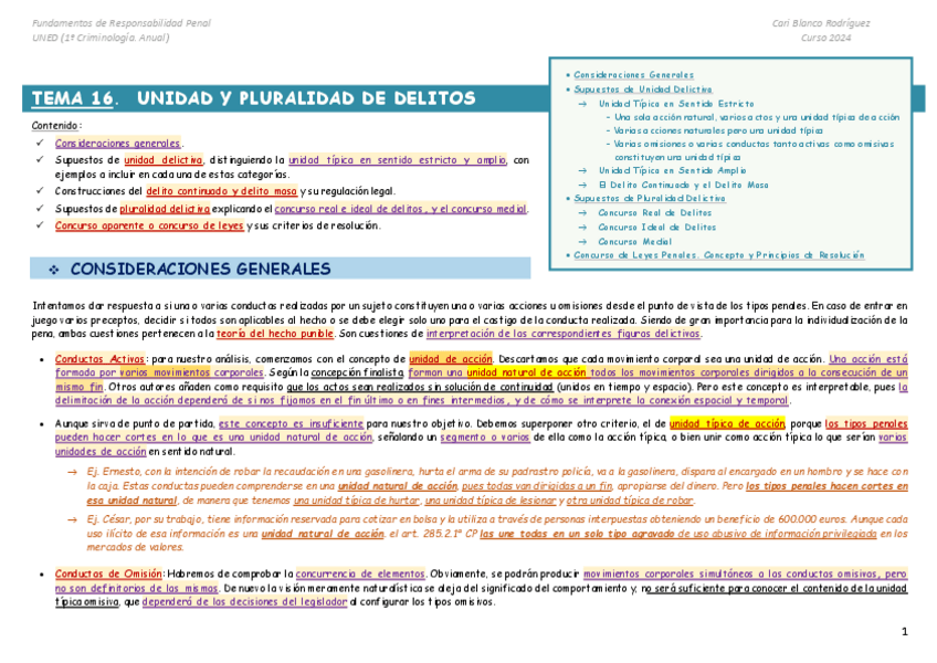 Miniatura del documento TEMA-16.-Penal-1.-Cari-Blanco.pdf