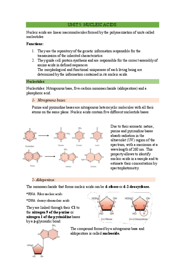 Miniatura del documento UNIT-5.pdf