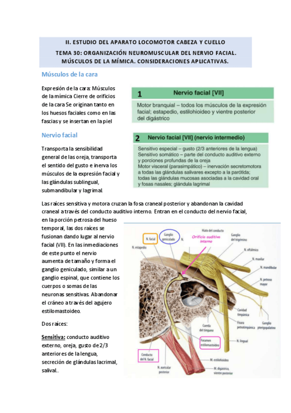 Miniatura del documento TEMA-30.pdf