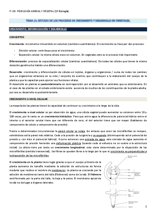 Miniatura del documento Tema 11. Estudio de los Procesos de Crecimiento y Desarrollo en Vegetales..pdf