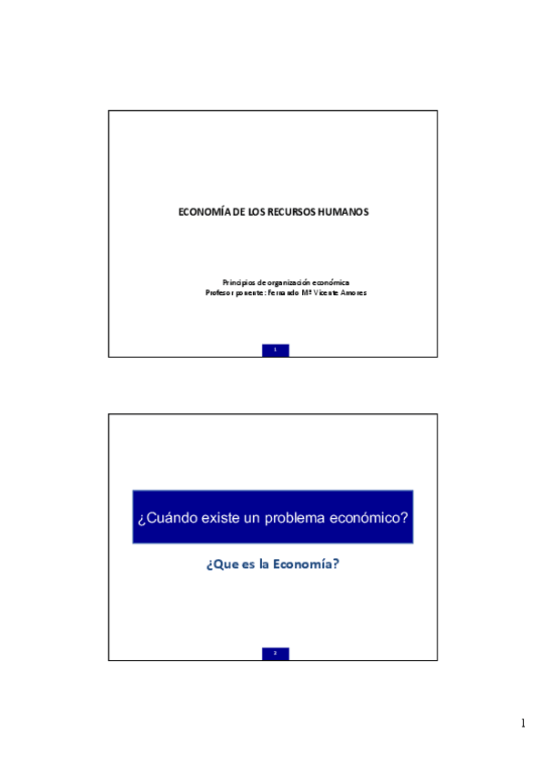 Miniatura del documento TEMA-2-PROVISIONAL.pdf