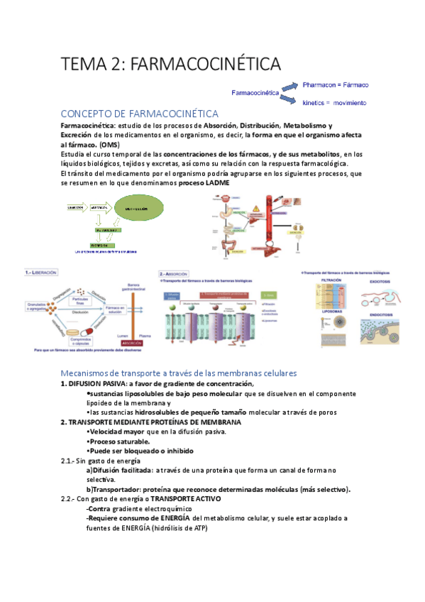 Miniatura del documento Tema-2-Farmacocinetica.pdf